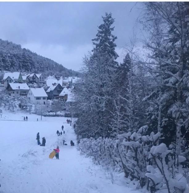 Plaue  Ferienwohnung Am Tor Zum Thueringer Wald מראה חיצוני תמונה